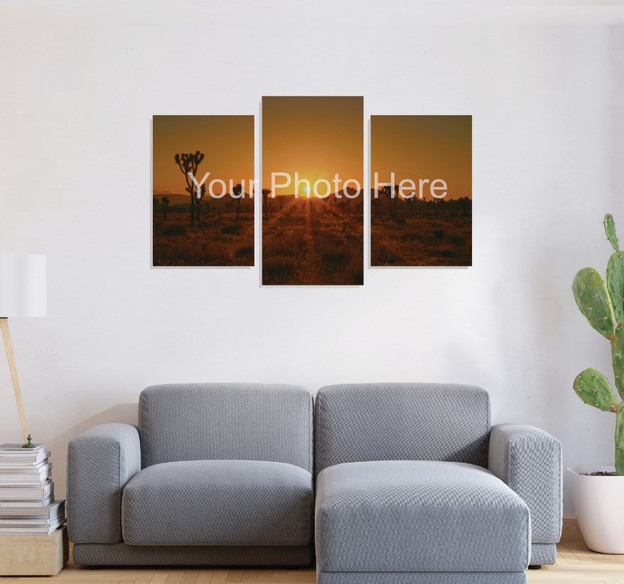 3 Stretched Split Canvas Print of Jushua National Park at the sunset