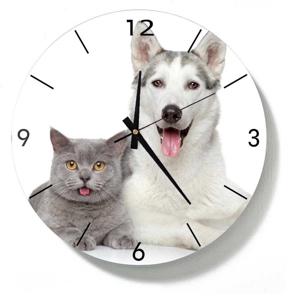 Acrylic clock of dog