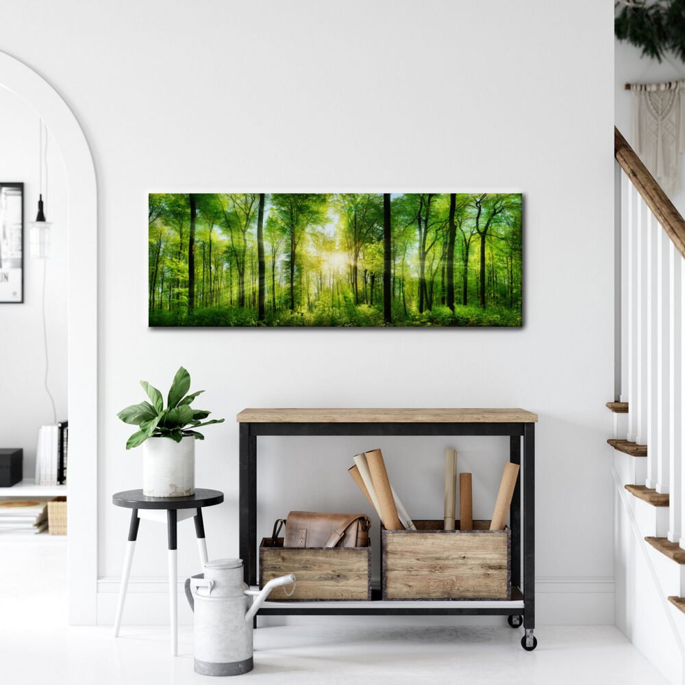 Panorama of a forest with a sunray in the house