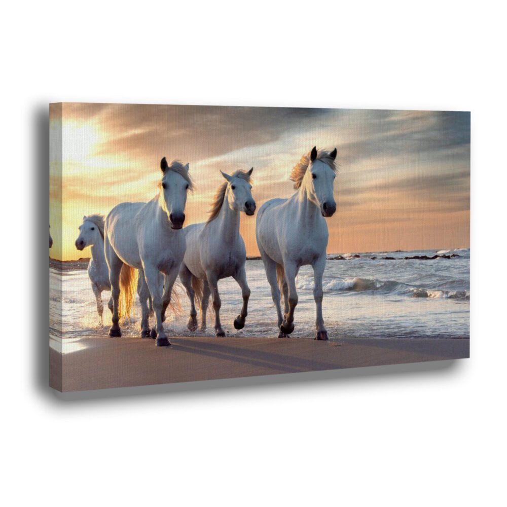 canvas of White horse in Camargue, France