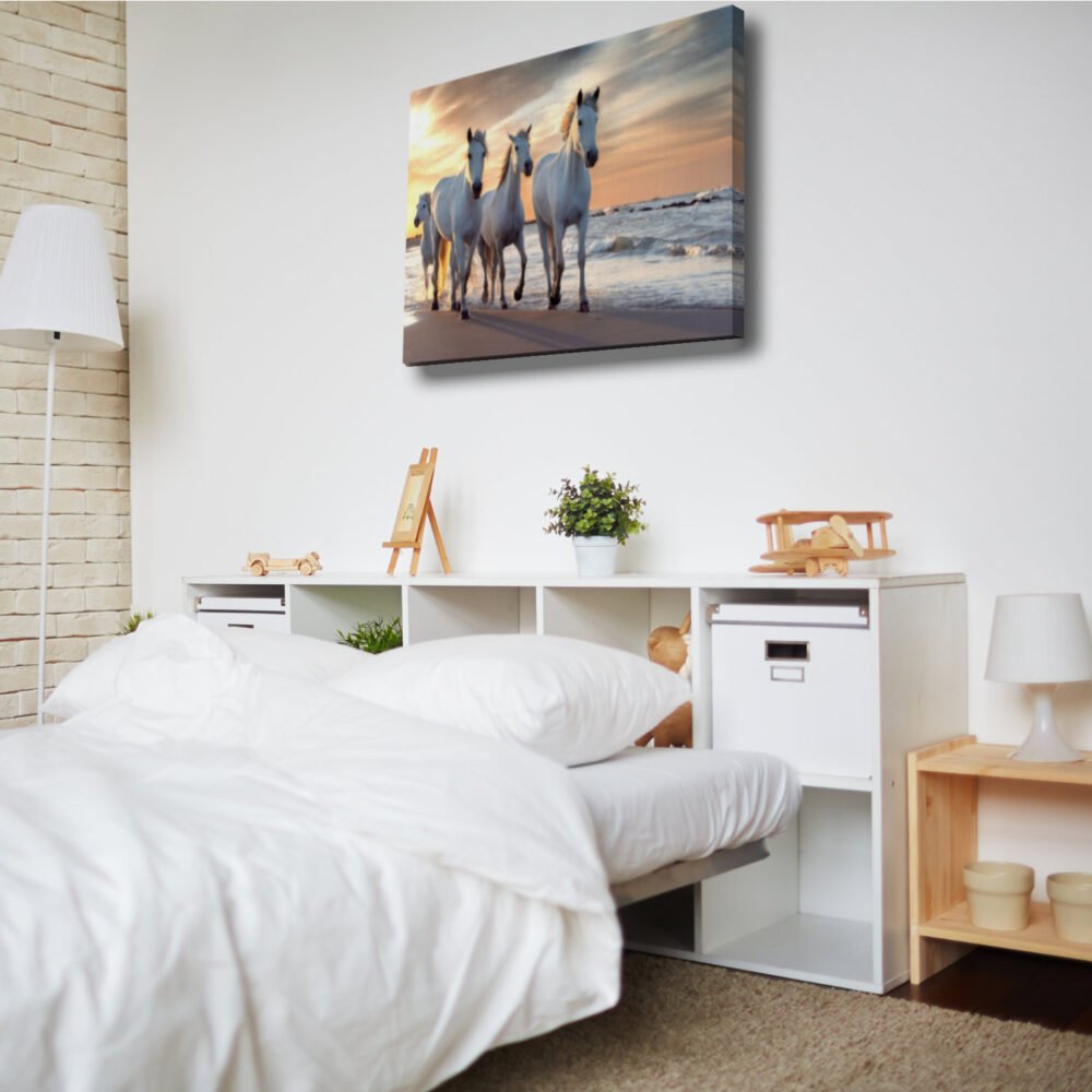 canvas of White horse in Camargue in bedroom