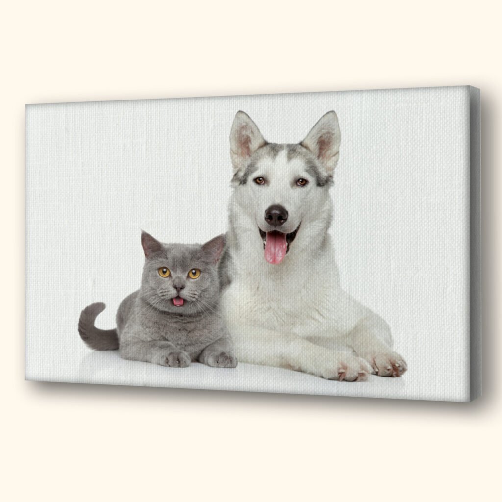 canvas of a dog and cat on the wall