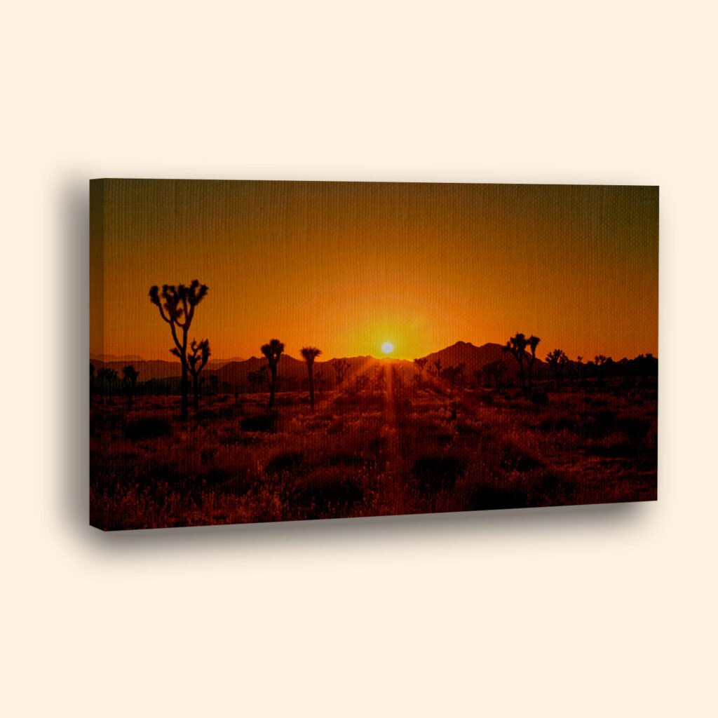 Jushua Tree National Park at sunset on canvas